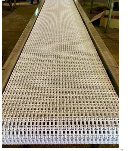 Transporter for water drainage from carcasses