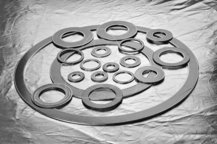 Graphite sealing gasket