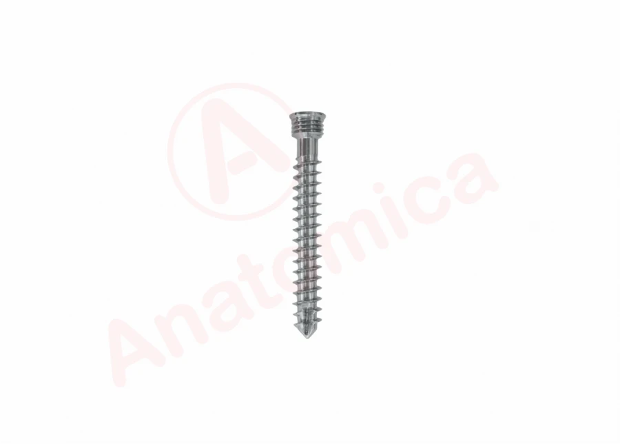 Cylindrical threaded cortical screw