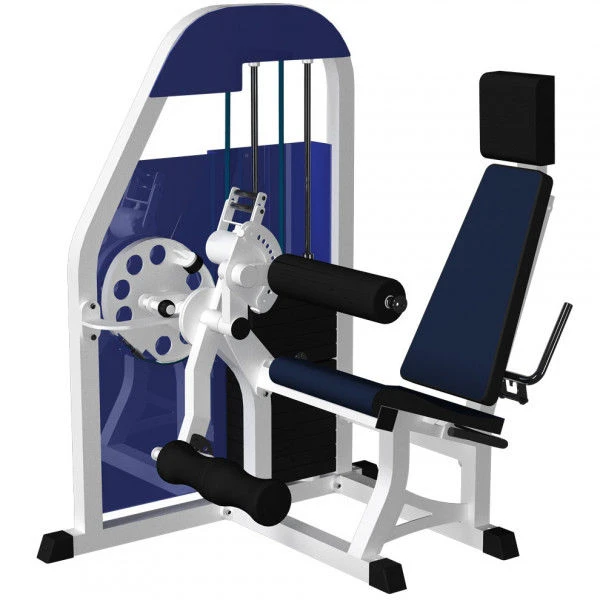 Seated leg flexion-extension (weight block)