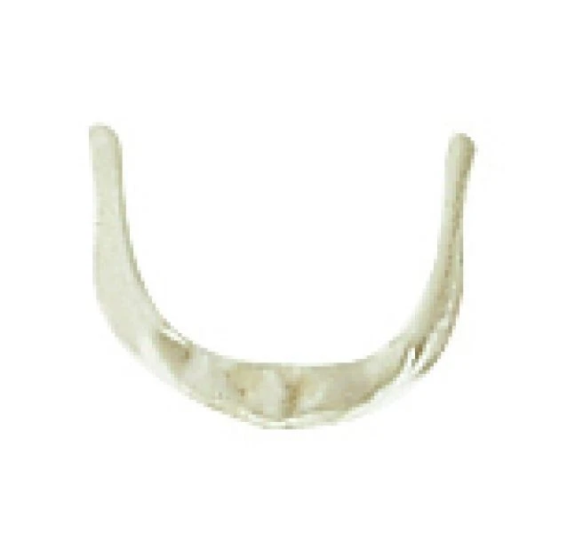 Enlarged model of hyoid bone, 11122