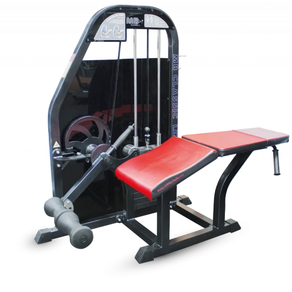 Leg flexion-extension machine (weight block)