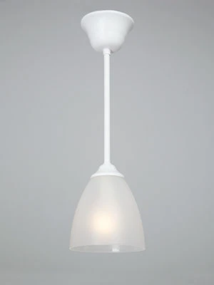 General purpose fixed luminaire V3950-0/1PL
