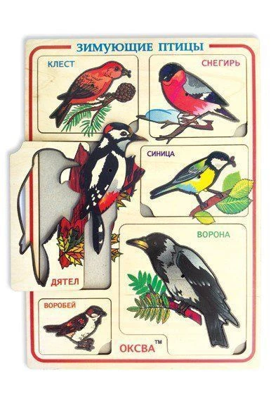 Frames-inserts "Wintering birds".