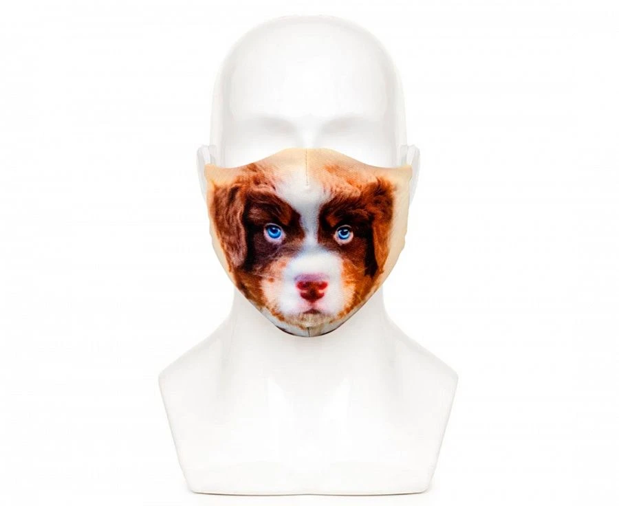 Hygienic mask coloured dog XS