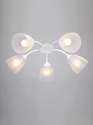 General purpose fixed luminaire V3750/5PL