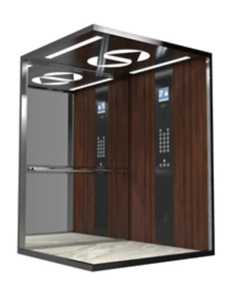 Electric passenger lift