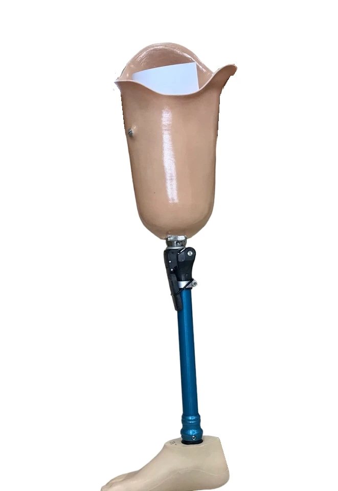 Hip prosthesis for bathing