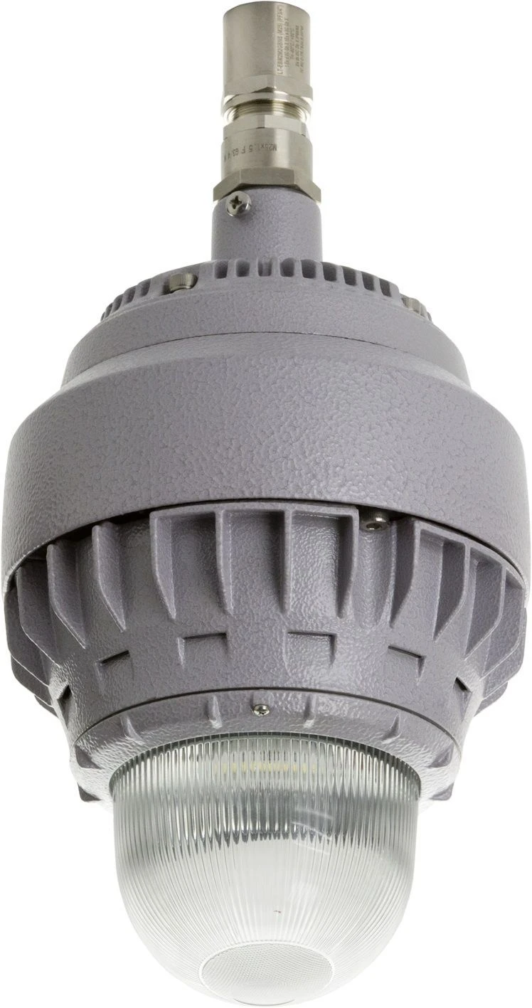 GLOBUS LED 25 D270 G Ex luminaire