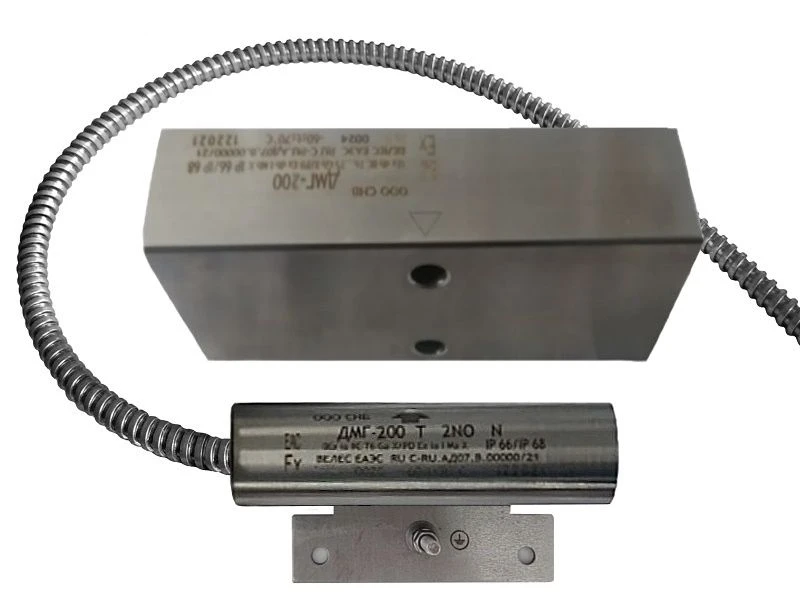 Magnetic reed switch DMG-200 F (0Ex ia IIC T6 Ga X / RO Ex ia I Ma X)