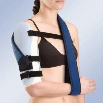 Shoulder joint apparatus
