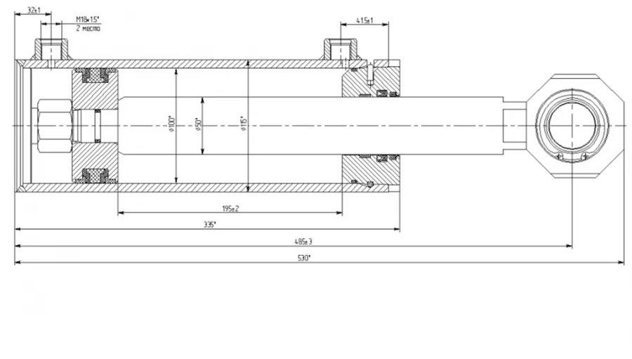 Hydraulic cylinder 1170.00.00.00 (100x50-195, mm), 16MPa