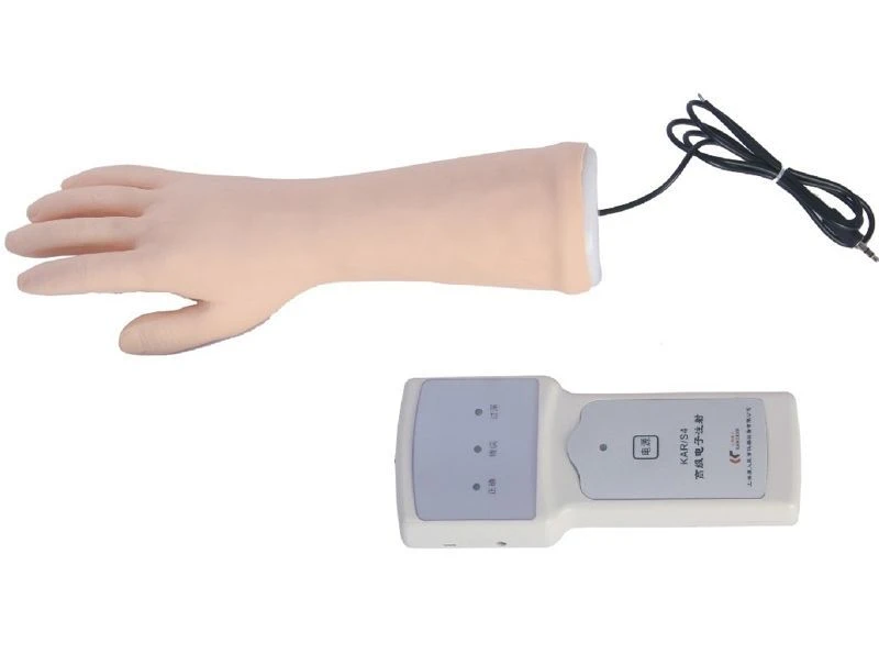 Teaching Hand Model, S4