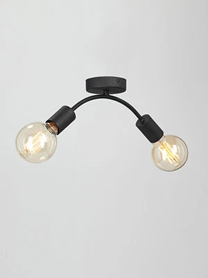 General purpose fixed luminaire V4989-1/2PL