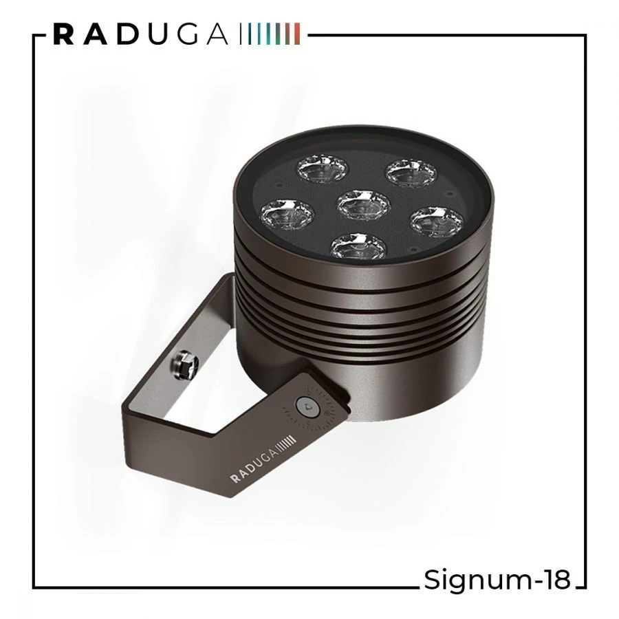 LED spotlight RAD-S-ClS-18