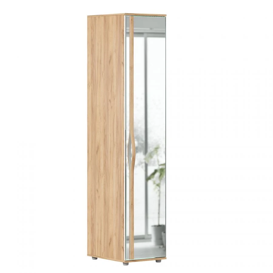 Marta-2 LD.406030.000 Single-leaf mirrored cupboard (Golden Oak/White)