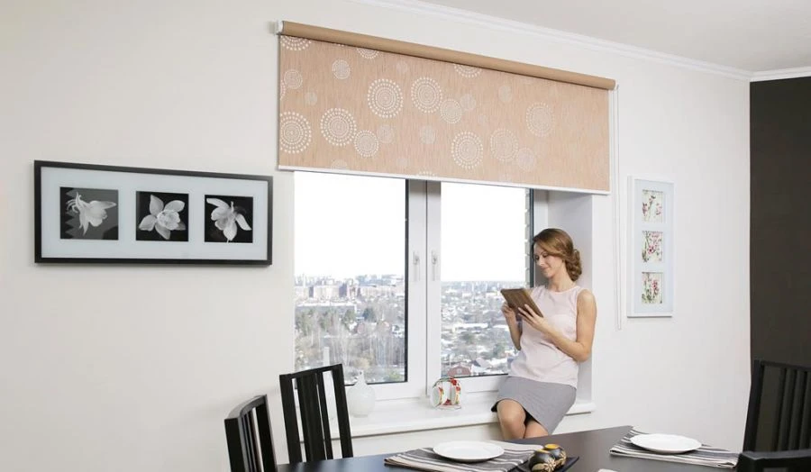 Roller blinds GRANDE 170x210cm