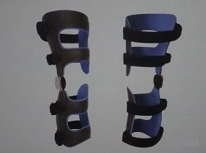 Knee joint apparatus