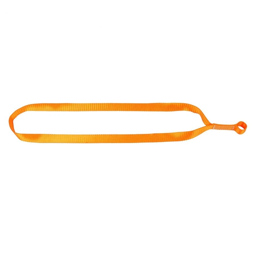 Anchor loop ?42018