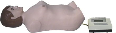 Mannequin for abdominal palpation and auscultation, FB