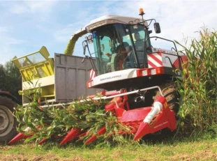 Corn silage harvesting