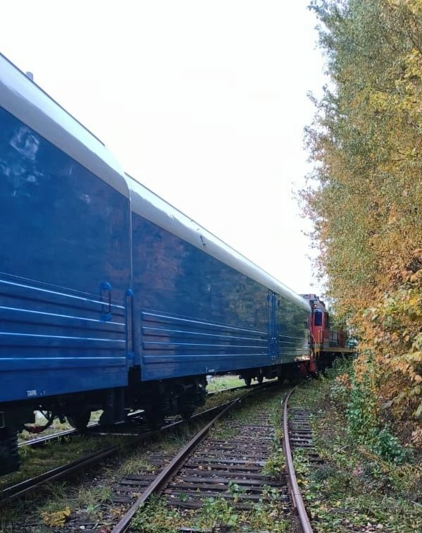 Assembly of baggage and mail cars