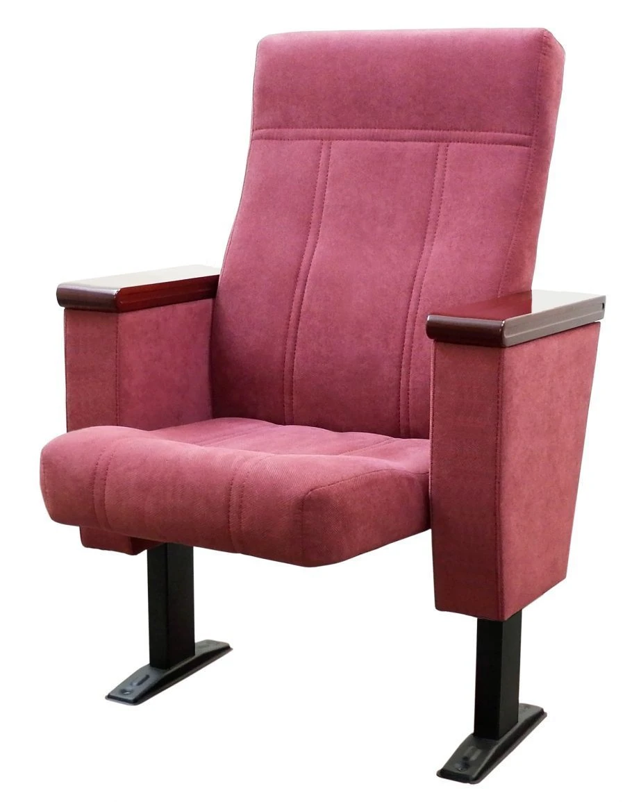 Parliament auditorium armchair