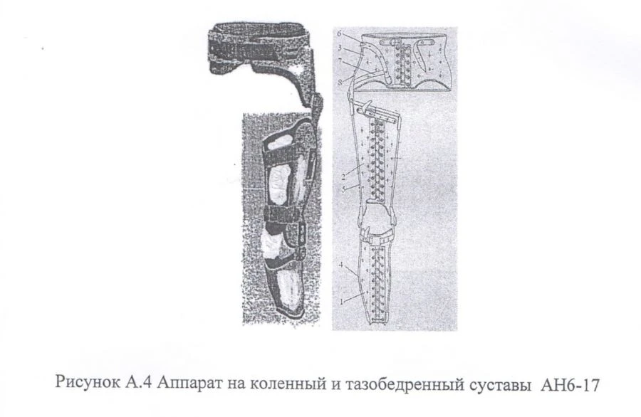 Knee and hip apparatus AN6-17