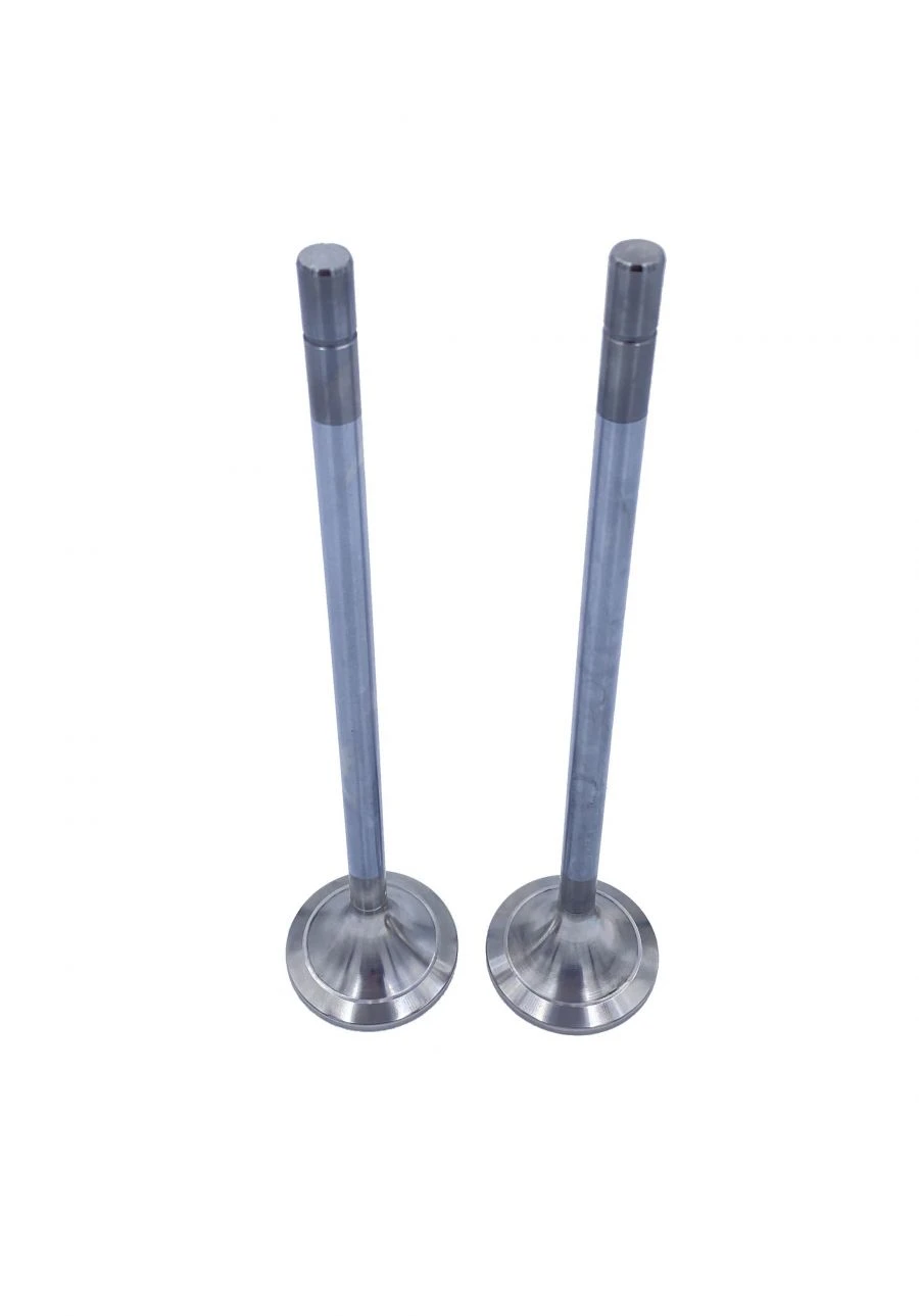 Exhaust valve RDG 4013770
