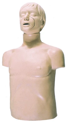 Mannequin (torso) for CPR, item CPR169/ CPR1690