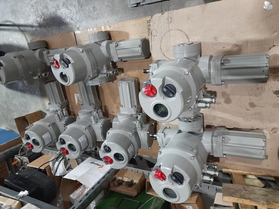 Electric multi-turn actuator BIRS 15.5