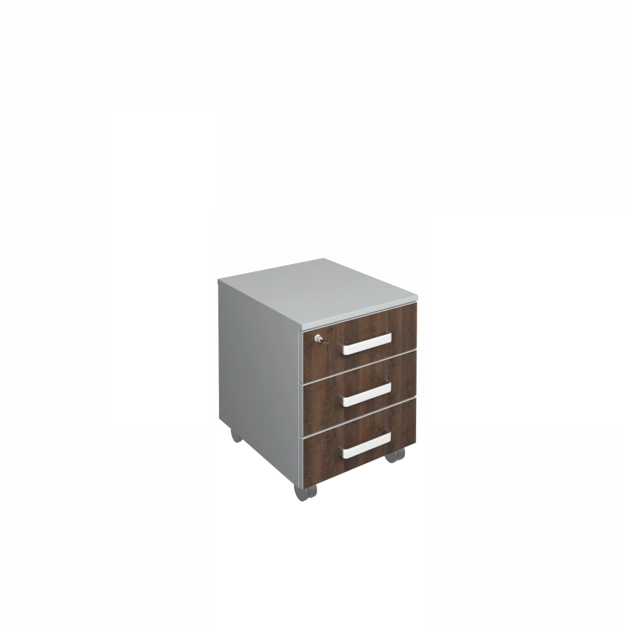 110.1 Podkatnaya cabinet with lock "Leader.1"
