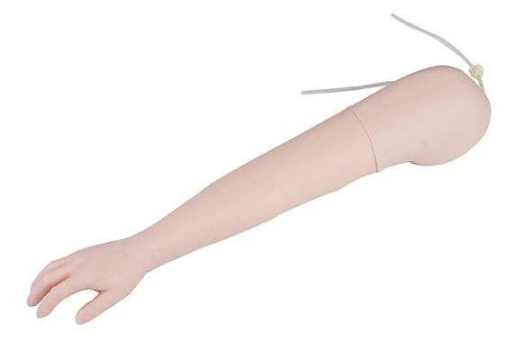 Advanced Injection Training Arm Model, NS6003/S8