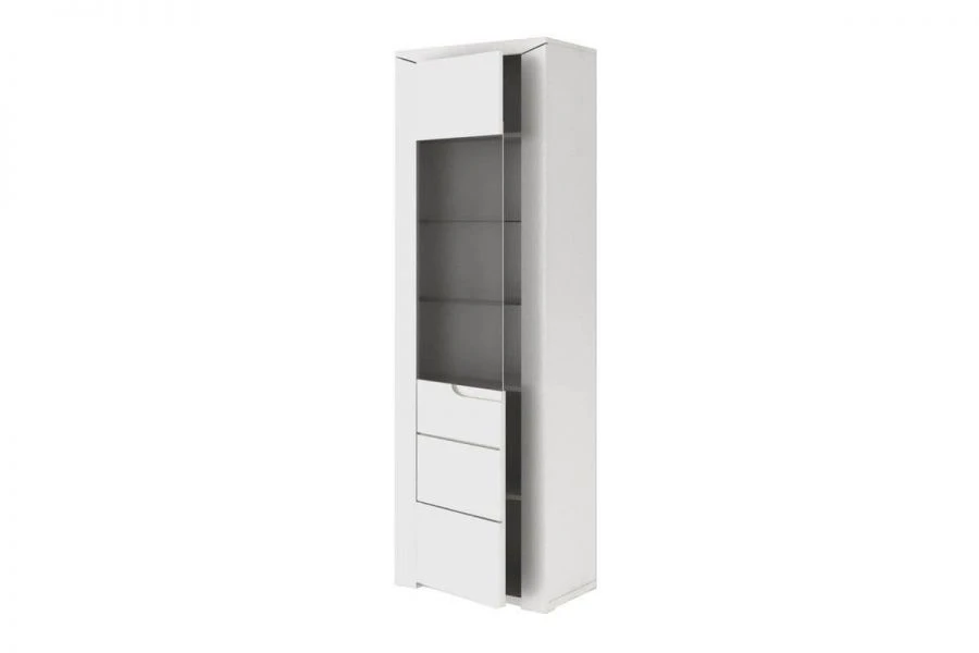 Brij TYP 01 Single-leaf cupboard (White gloss with tinted glass )
