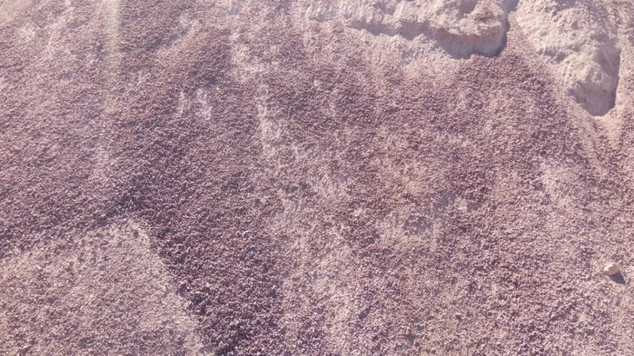 Sand from crushing sands, fraction 0-5 mm