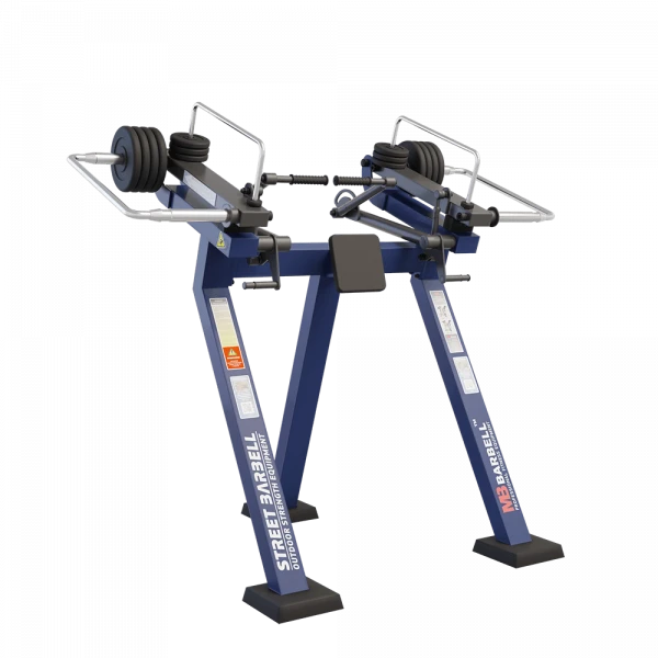 Triceps in standing position with variable load