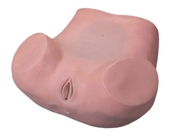 Model for gynaecological examination, 6