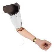 Microprocessor-controlled shoulder prosthesis, PR4-VOB