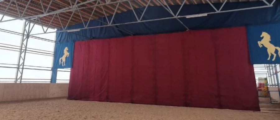 Lifting and lowering curtain