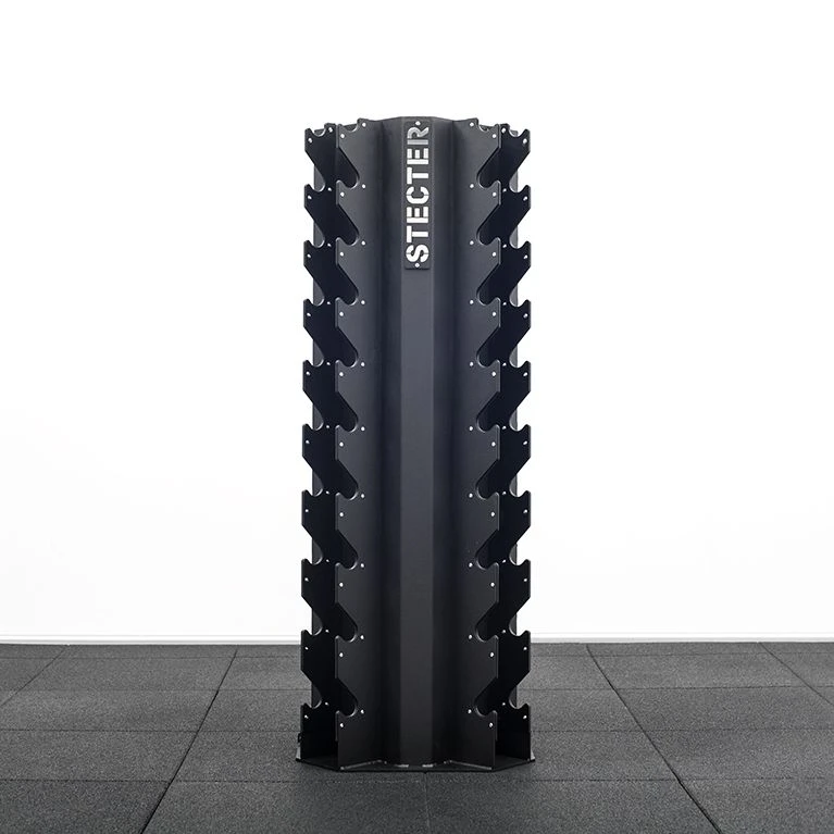 Vertical dumbbell storage rack STECTER DUMBBELL PRO