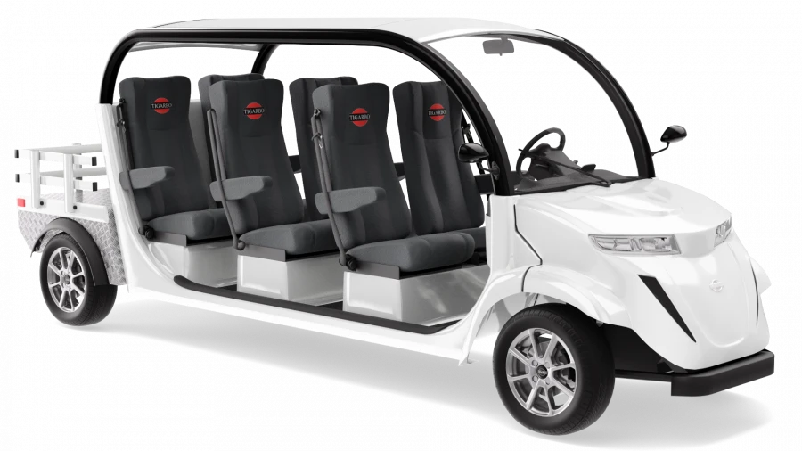 Electric car "Elekar 5E-TIGARBO" 6G