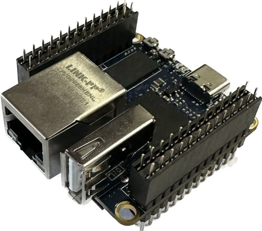 NAPI-C processor module