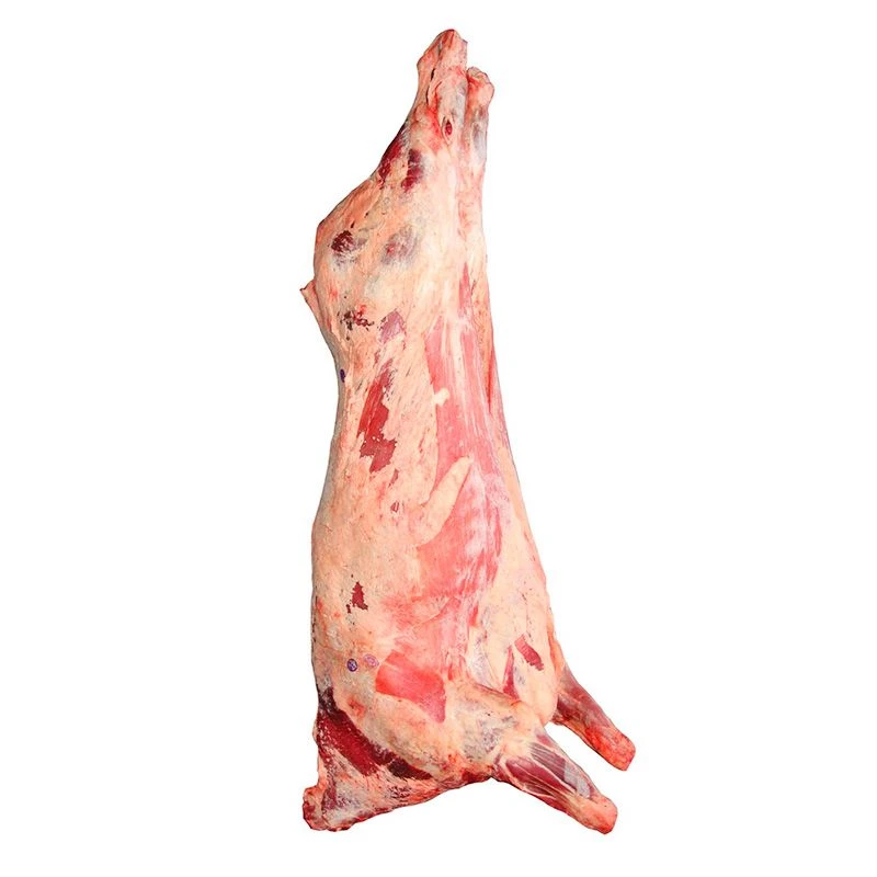 Beef meat