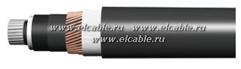 Cable PvBP2g