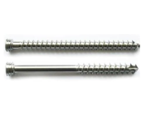 Spongy (spongy) screw with cylindrical threads