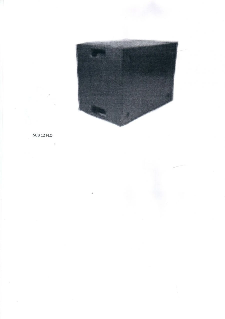 B&A Sub 12 FLO subwoofer