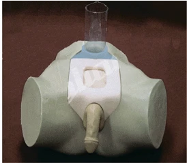 Mannequin for bladder puncture (male), art. no. NS6046 / 29E