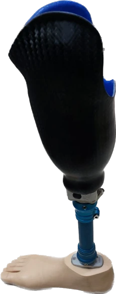 Tibial prosthesis for bathing