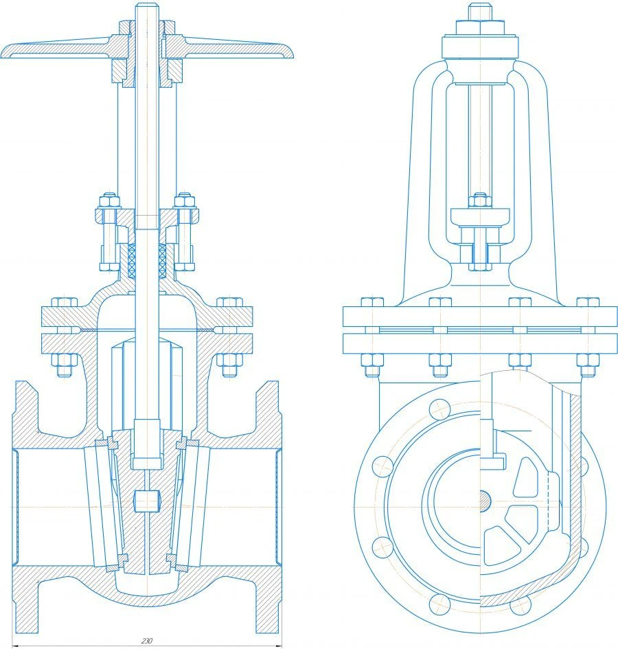 Cast iron wedge gate valve DN 100