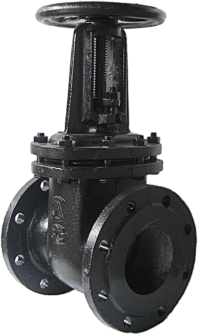 Cast iron parallel gate valve 30h6bk